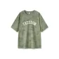 Earth Gray Green 40944