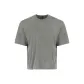 Rhinoceros Gray