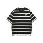 Black with Gray and White Stripes/03F6