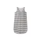 Silver Gray