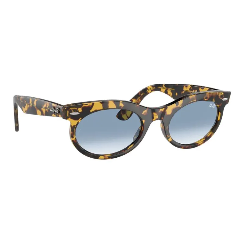 RayBan Wayfarer Way Round frame Sunglasses-2