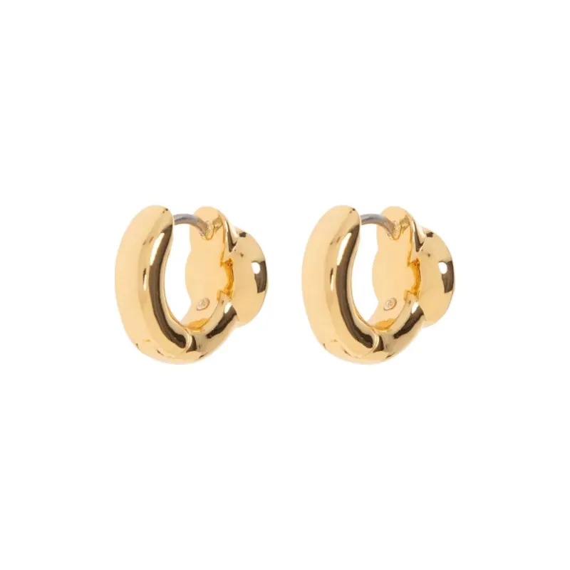 Kate Spade Gemstone embellished Earrings-1