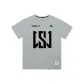 Light Gray