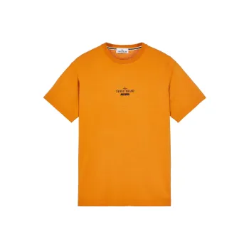 STONE ISLAND Archivio Project Lino Watro T Shirt Men's Orange