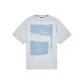 Ice Frost Blue