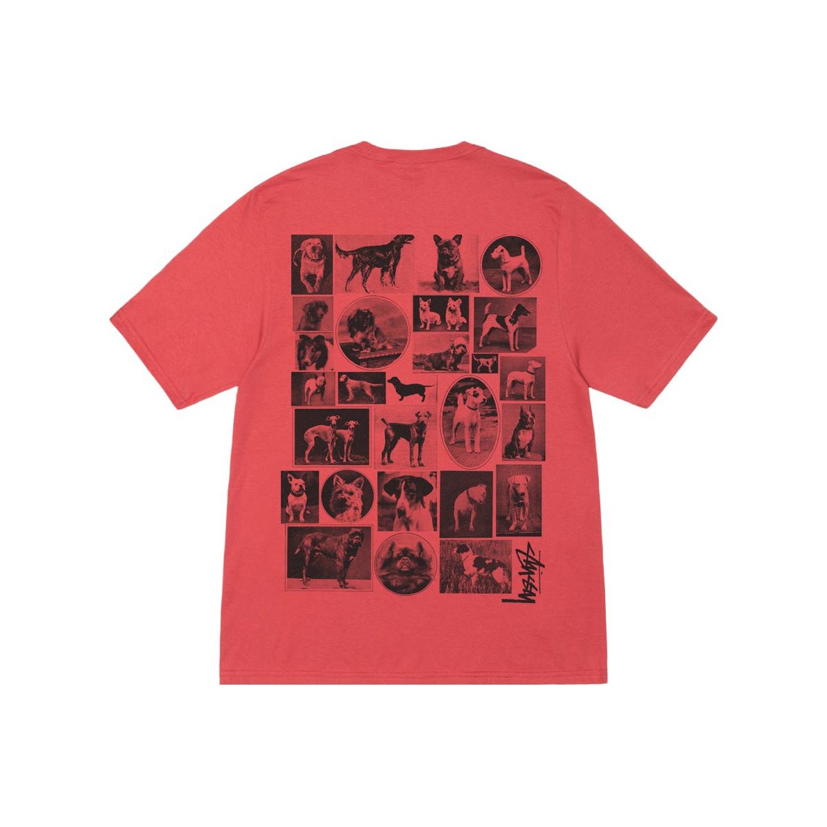 ◆ユニセックス◆STUSSY FLOWER BOMB T-SHIRT◆関税/送料込◆ ◇ユニセックス◇STUSSY FLOWER BOMB T-SHIRT◇関税/送料込
