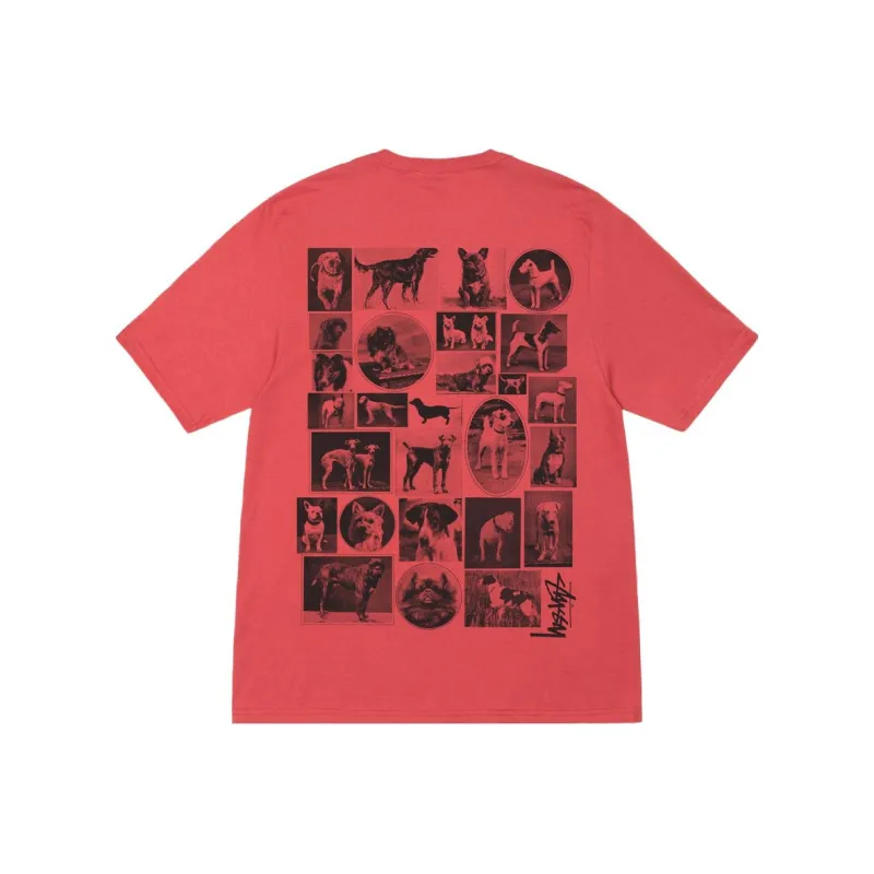 Stussy Kittens Tee-4
