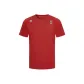 RD-RED