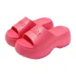 Raspberry Pink