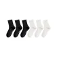 6 Pack (Black Iron 3+Milk White 3)