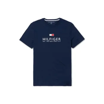 Tommy Hilfiger T Shirt Men's Blue