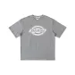 Medium Feather Gray