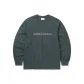Charcoal Gray