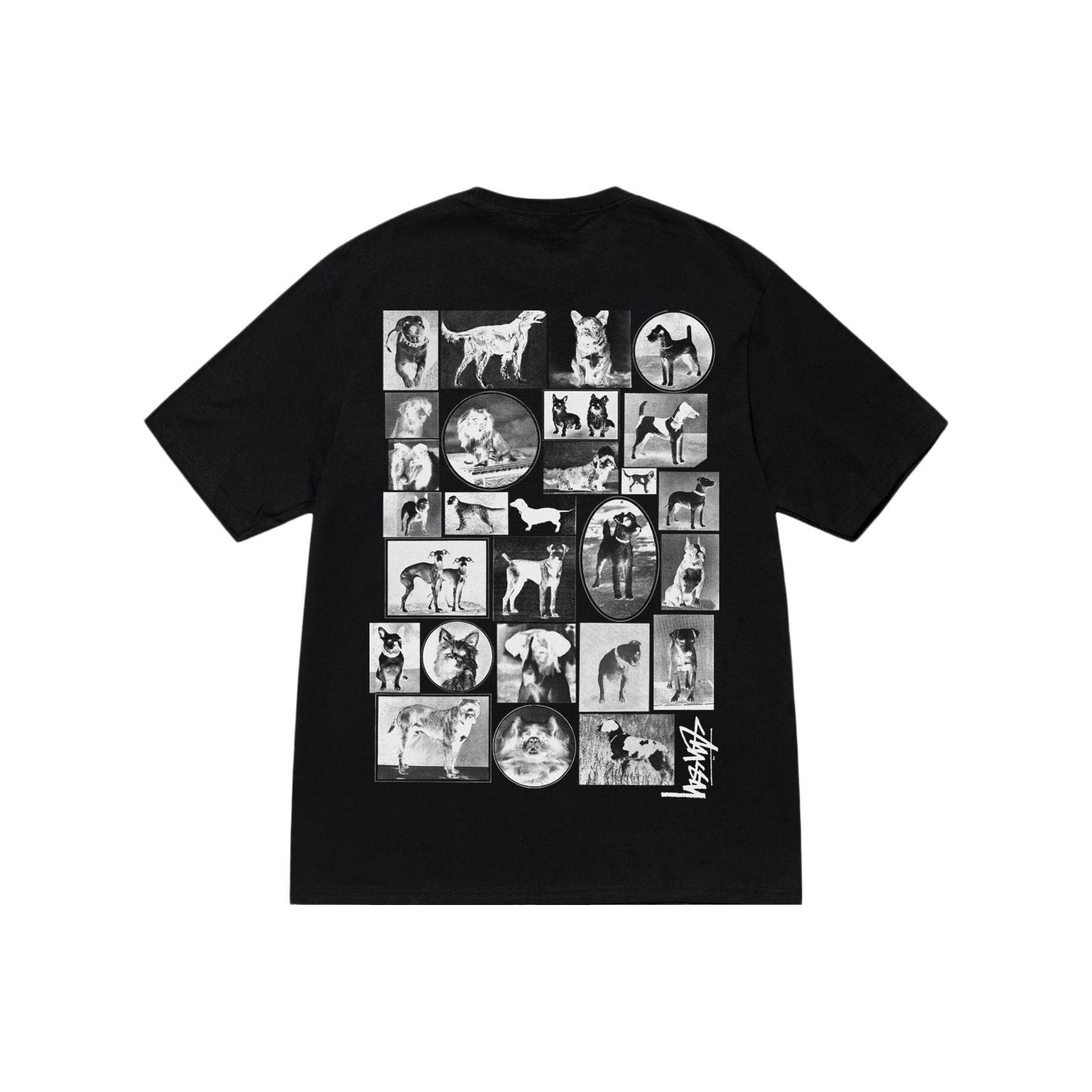 Stussy Flower Bomb Tee - POIZON
