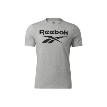 Reebok RI BIG LOGO TEE T-Shirt Men's Gray