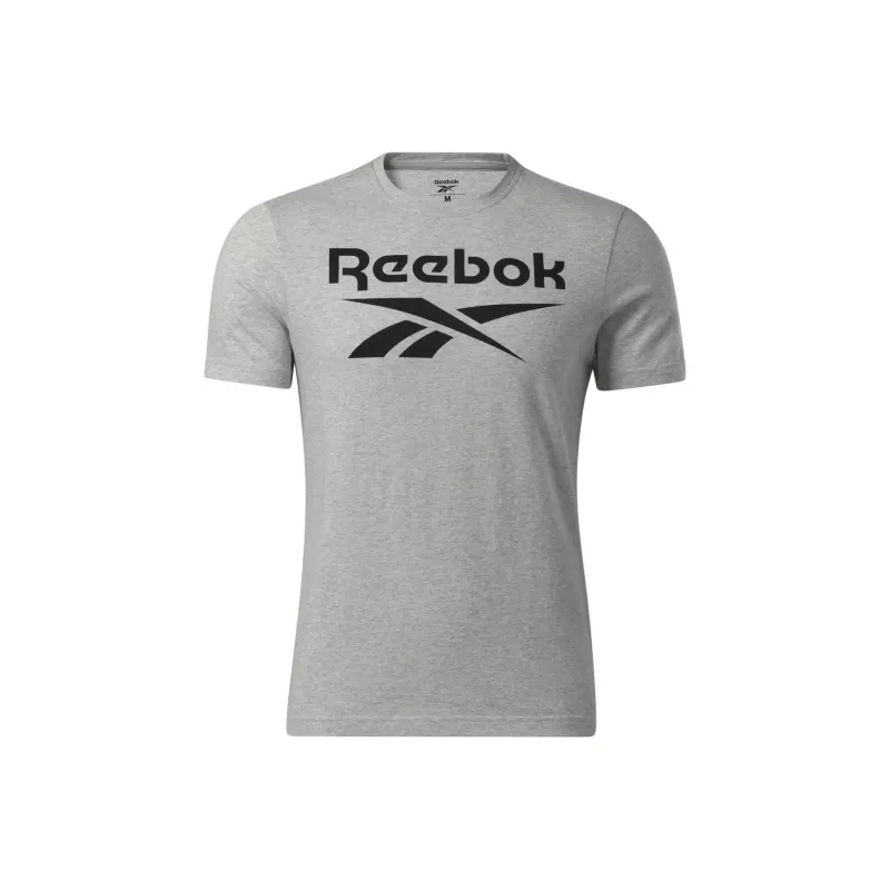 Reebok RI BIG LOGO TEE T-Shirt Men's Gray-0