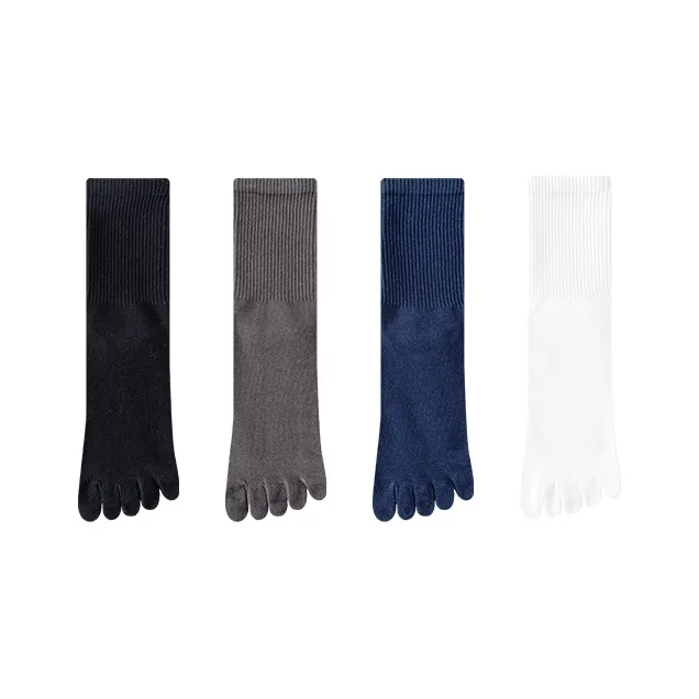 SOIE Knee High Socks Men's Combo Set-37