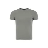 Rhinoceros Gray
