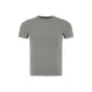 Rhinoceros Gray