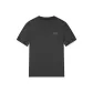 Iron Gray