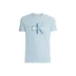 Ice Blue Color