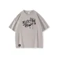 Light Smoke Gray
