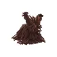 Brown Mop Puppy