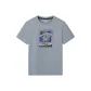 Cyan Blue Gray