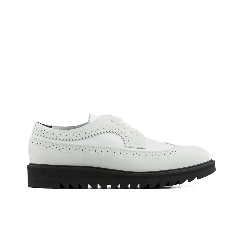 Onitsuka Tiger BROGUE Men's Casual Shoes Men's White-1