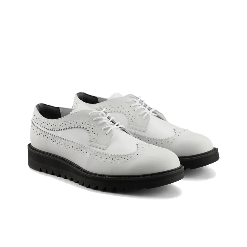 Onitsuka Tiger BROGUE Men's Casual Shoes Men's White-2
