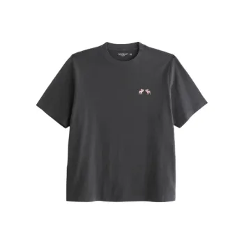Abercrombie＆Fitch T Shirt Men's Dark Gray