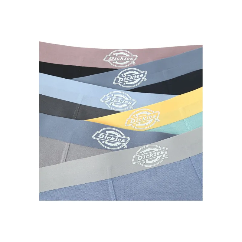 Dickies Underpants Men's Box 3 Pack-37