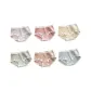 Light Breeze Pine Green+Dark Pink+Light Gray Blue+Gentle Skin+Light Lilac Purple+Light Lilac Red