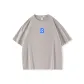 Light Smoke Gray