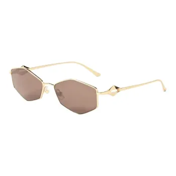 Jimmy Choo Zoey Sunglasses