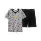 9039 Gray