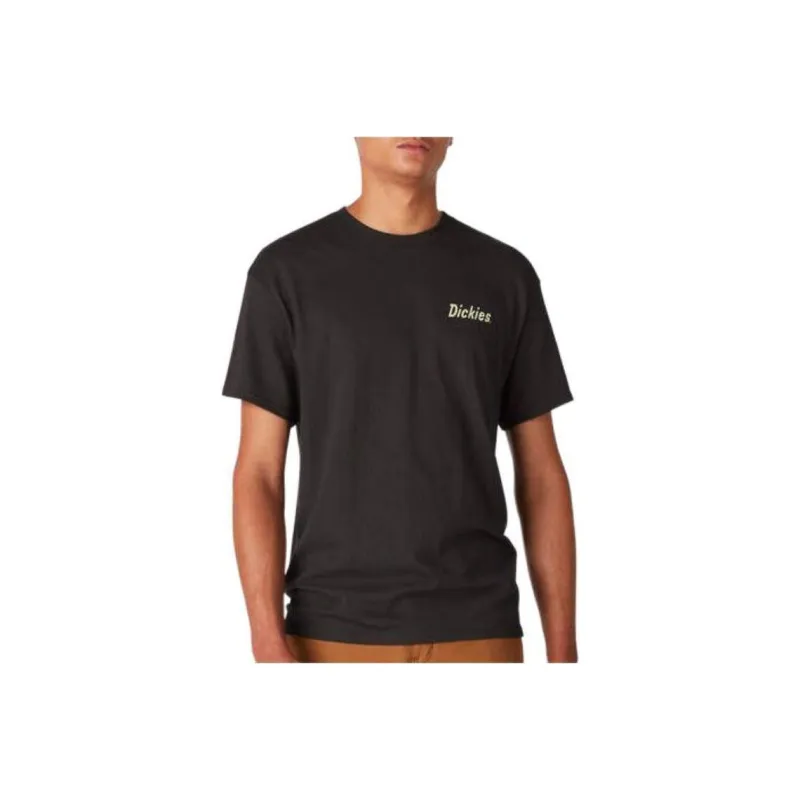 Dickies Dickies Skateboarding Split Graphic T-Shirt T-Shirt Men's Black-0