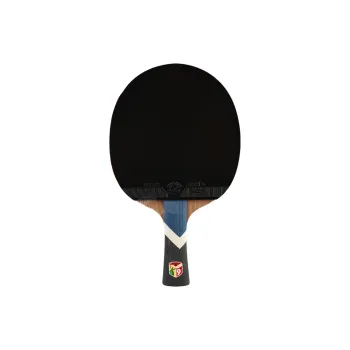 730 Ping Pong Paddles