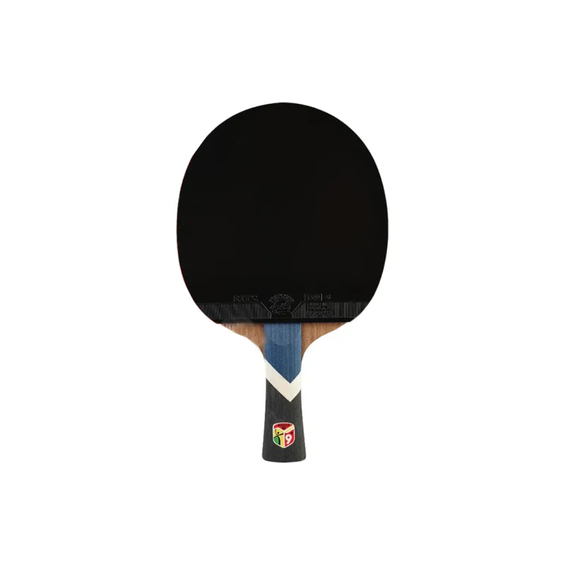 730 Ping Pong Paddles-0