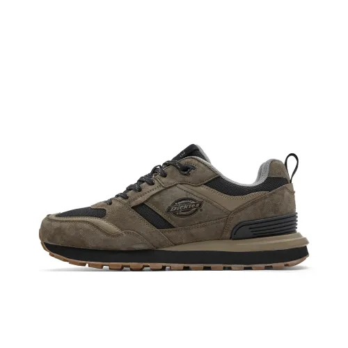 Dickies Low Top Casual Shoes Men's Brown Green