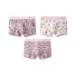 Pink Bear Party (3 Pack)