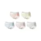 Pink Light Yellow Light Blue Lotus Root Powders Light Gray