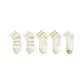 C-Pinstripe+Pinstripe+White Double Stripe+White Double Stripe+White Thank
