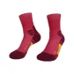Mulberry Fruit Red
