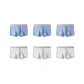 6 Pack (Blue 3+Gray 3)