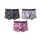 Graffiti Collection (3 Pack)