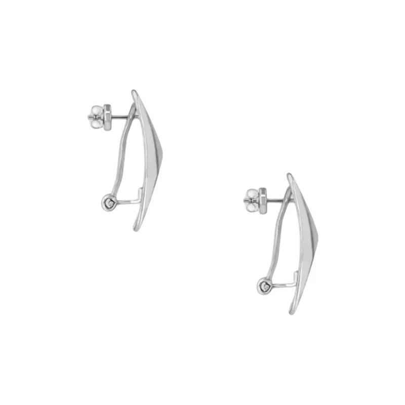 Anine Bing Curved Rectangle Earrings-1