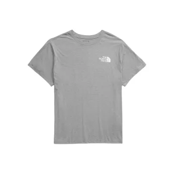 THE NORTH FACE Men’s Big Short-Sleeve Box NSE Tee T-Shirt Men's Gray