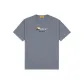 Blue Gray