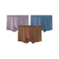 Dark Apricot, Sky Blue, Blue Gray